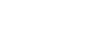 wt-logo